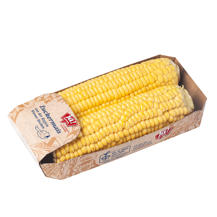 BioMaiskolben
